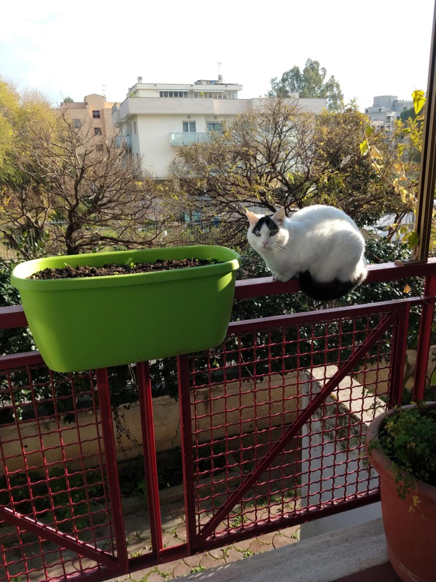 Intero Con Giardino E Parcheggio Apartment Rom